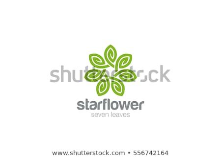 450x323 Green Leaves Star Flower Logo Design Infinity Loop Vector Template