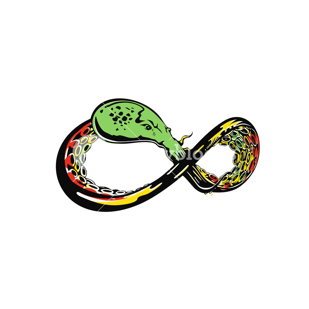 1000x1000 Fresh Octopus Tentacles Is Like Infinity Symbol Vector