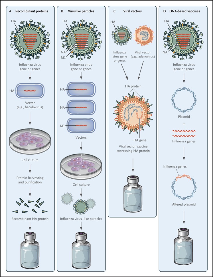 747x969 Influenza Vaccines For The Future Nejm