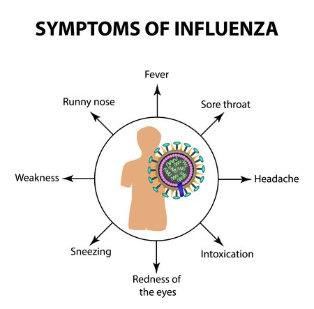 450x443 Symptoms Infections Of The Influenza Virus Infographics Vector