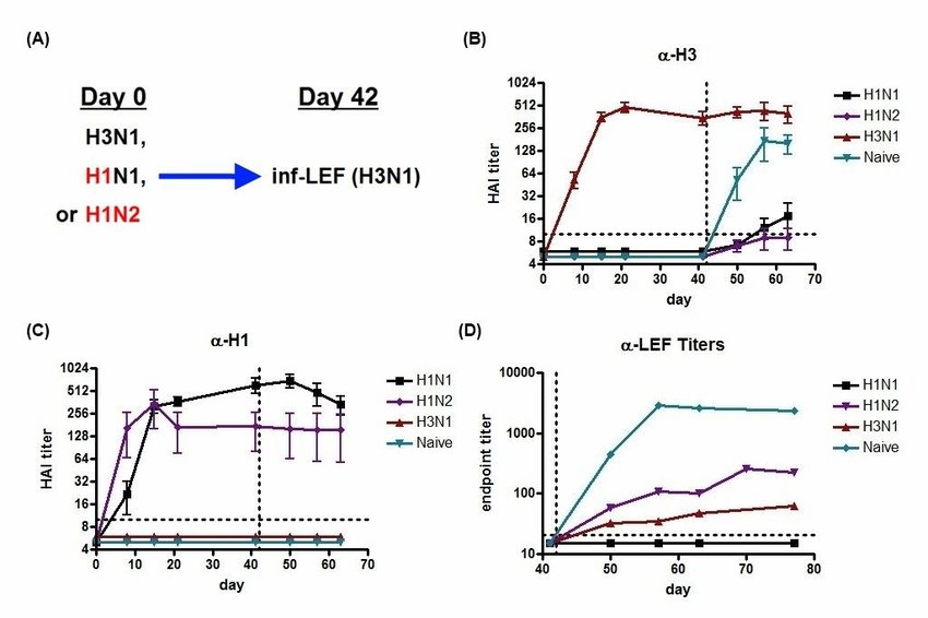 850x566 The Effect Of Previous Exposure To Influenza On Antibody Responses
