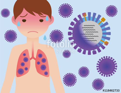 500x385 Human Lungs And Influenza Virus, Vector Illustration Stock Image