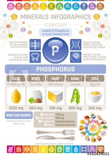 Phosphorus Mineral Supplement Rich Food Icons Healthy Eating Flat 354x500 Phosphorus Mineral Supplement Rich Food Icons Healthy Eating Flat