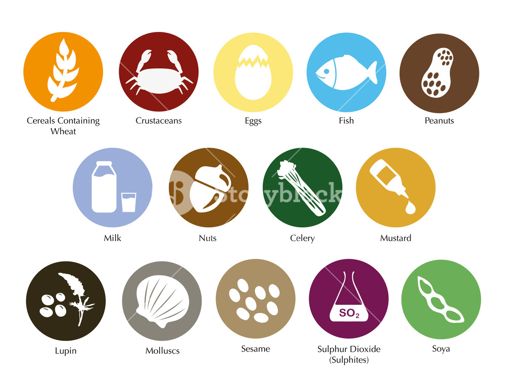 Food Allergen Symbols Information Vector Set Royalty Free Stock 1000x772 Food Allergen Symbols Information Vector Set Royalty Free Stock