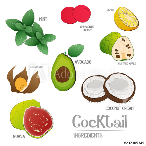 500x500 Intense Fruits Ingredients Vector Illustration
