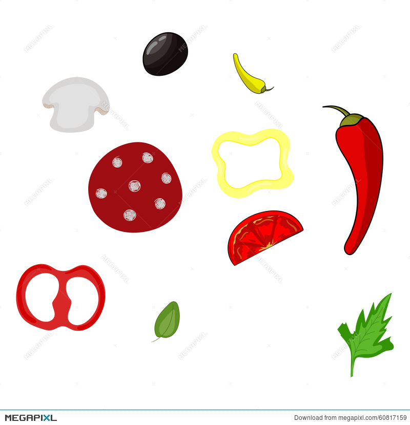 800x830 Pizza Ingredients Vector Illustration Illustration