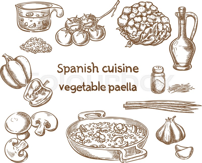 800x643 Spanish Cuisine Vegetable Paella Stock Vector Colourbox