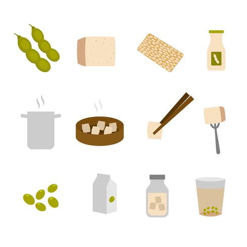 490x490 Tofu Ingredients Vector Collection Free Graphics