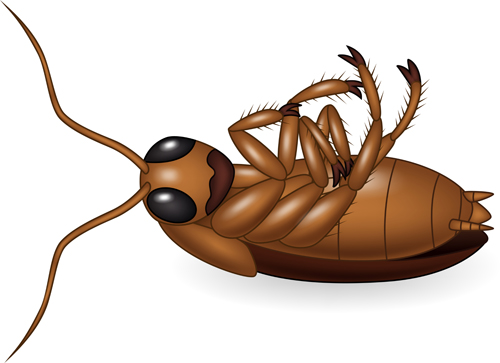 500x363 Cartoon Insect Vector Free Download