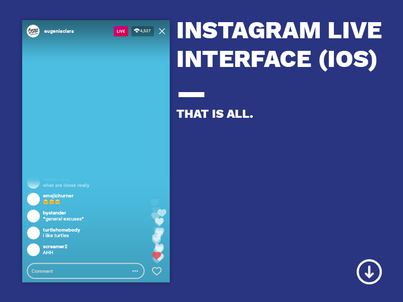 800x600 Instagram Live