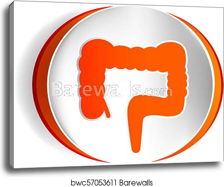 453x379 Large Intestine Vector Icon, Canvas Print Barewalls Posters