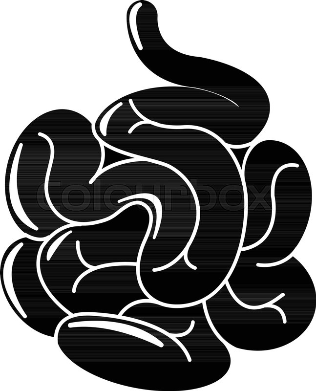 647x800 Small Intestine Icon Simple Stock Vector Colourbox