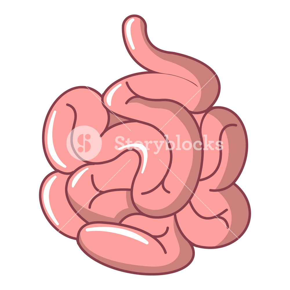 Intestine Vector At Collection Of Intestine Vector 