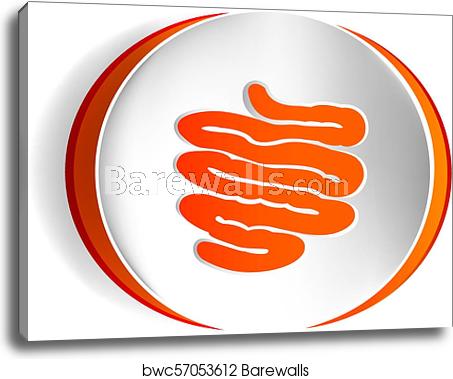 453x379 Small Intestine Vector Icon, Canvas Print Barewalls Posters
