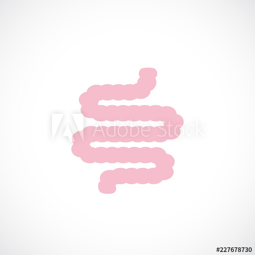 500x500 Small Intestine Vector Icon