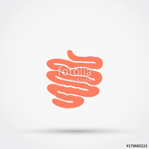 500x500 Small Intestine Vector Icon Stock Image And Royalty Free Vector