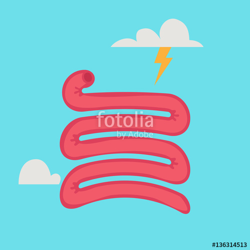 500x500 Small Intestine Vector Illustration Stock Image And Royalty Free