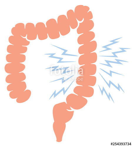 452x500 Problem With Human Large Intestine Vector Illustration Stock