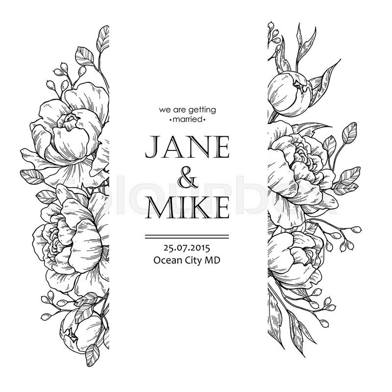 800x800 Flower Vintage Border Vector Peony Stock Vector Colourbox