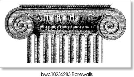 435x252 Vector Ionic Column, Art Print Barewalls Posters Prints