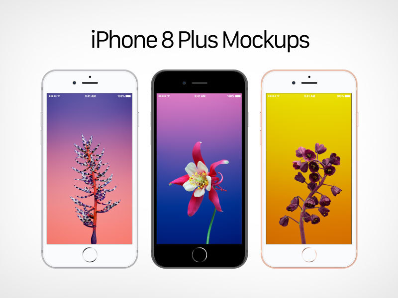 Free Vector Apple Iphone Plus Mockup 800x600 Free Vector Apple Iphone Plus Mockup