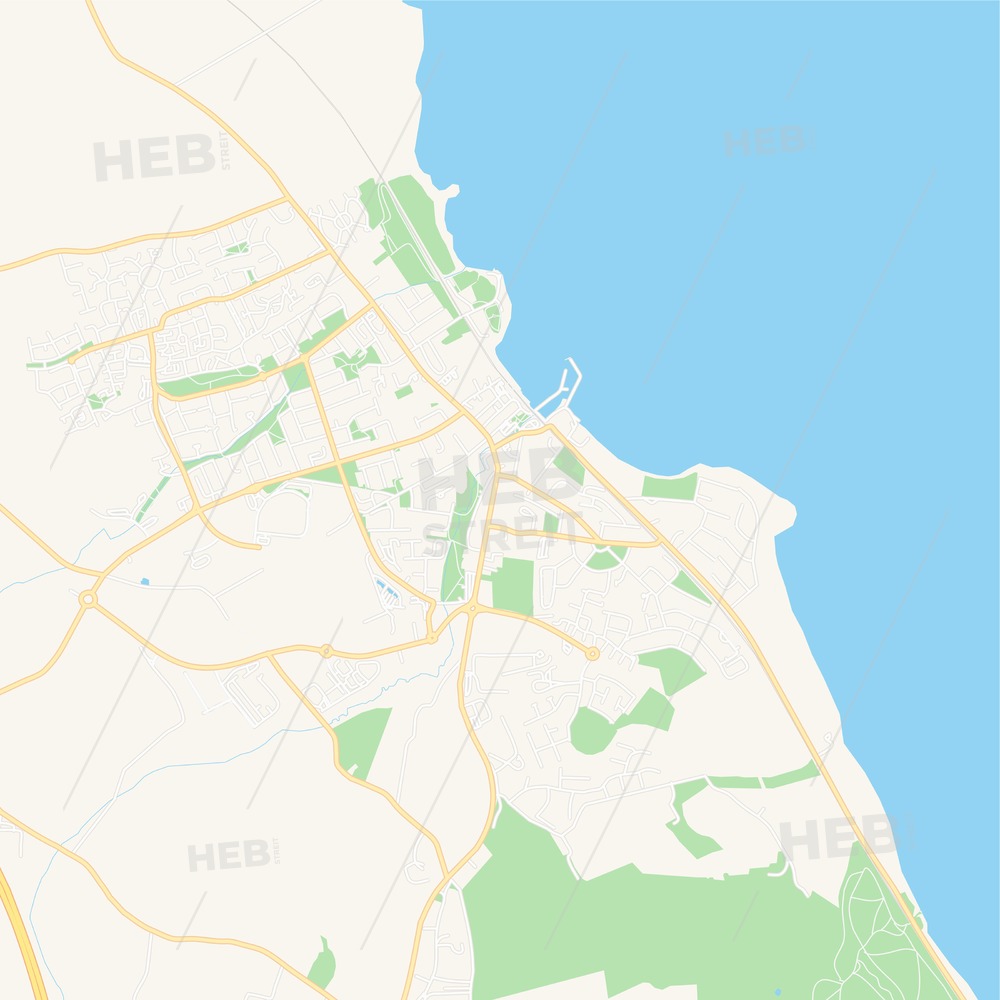 1000x1000 Balbriggan, Ireland Vector Map