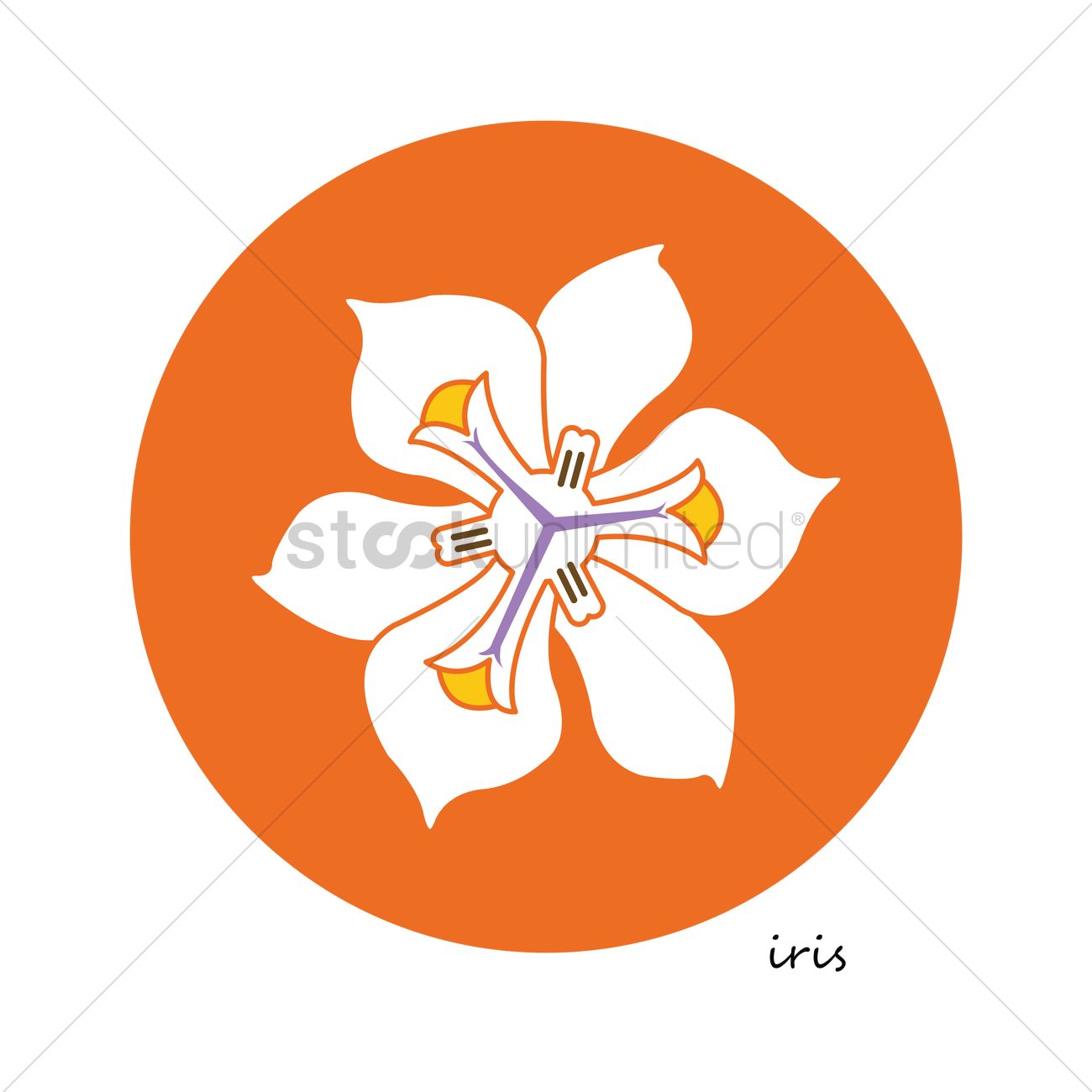 1300x1300 Free Iris Flower Vector Image