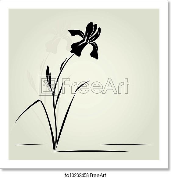 561x581 Free Art Print Of Vector Iris Flower Vector Illustration