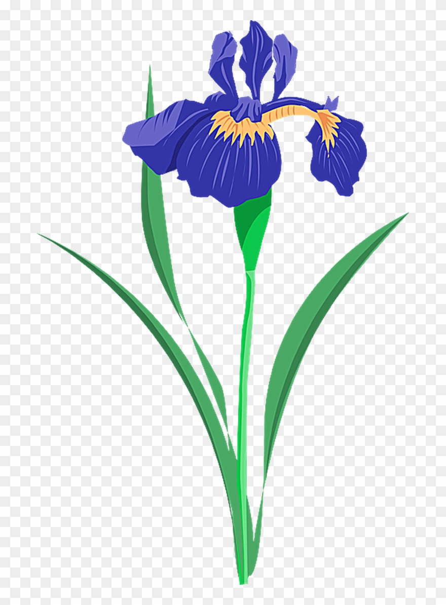 880x1194 Grab This Free Summer Flower Clip Art