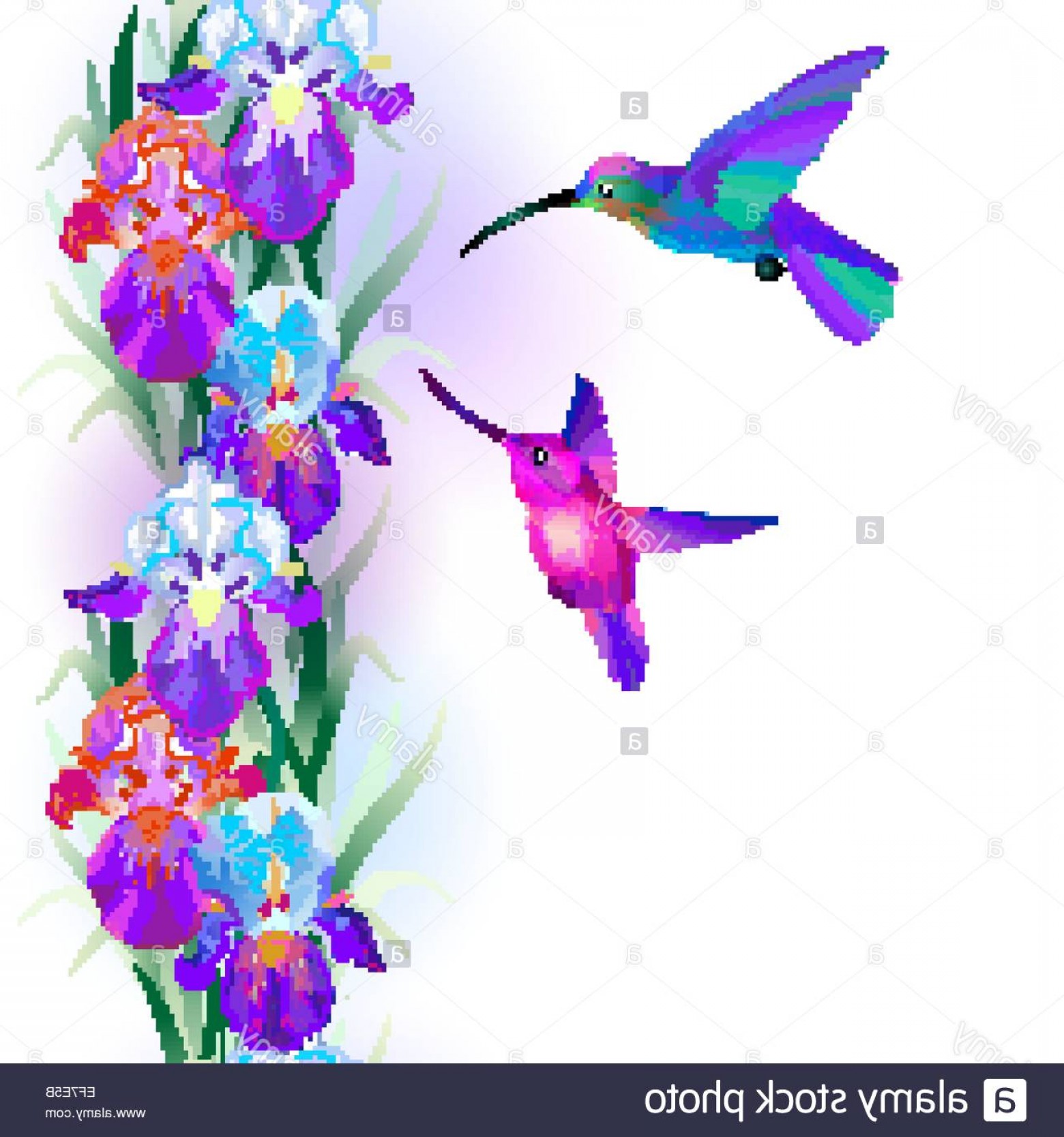 1560x1668 Stock Photo Vector Seamless Pattern With Bright Multicolored Iris