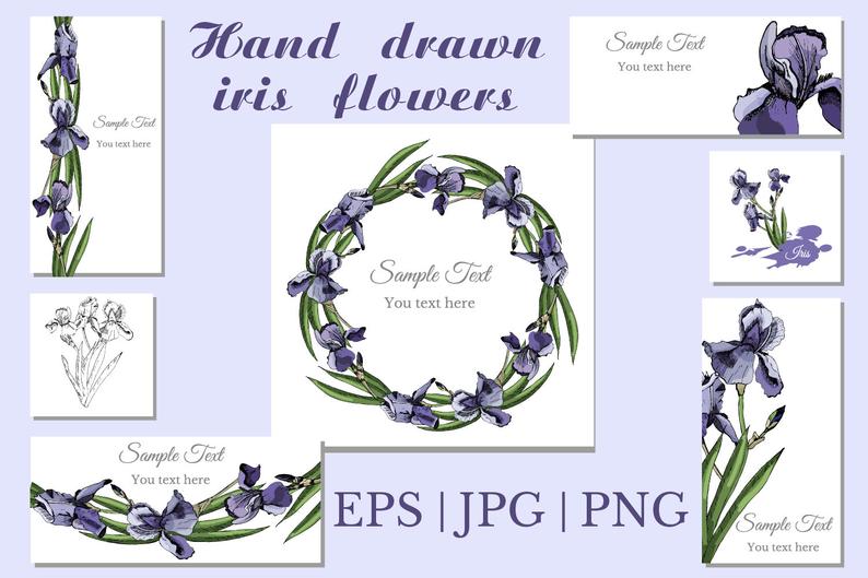 794x529 Collection With Sketches Of Violet Iris Flowers And Seamless Etsy