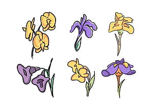 310x217 Free Iris Flowers Vectors Free Graphics Uihere