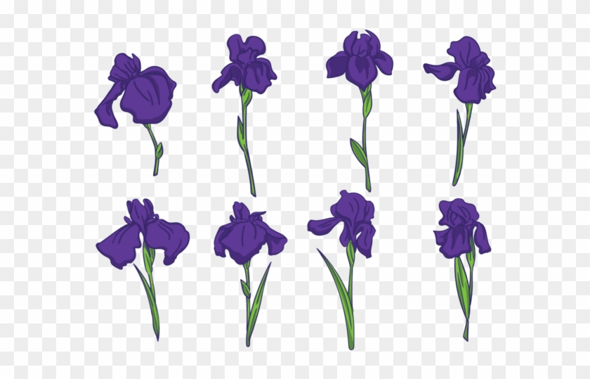 840x539 Iris Flower Vectors Download