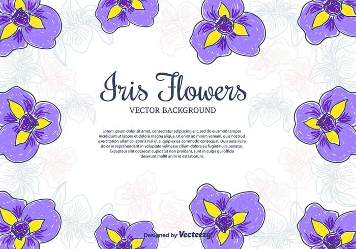 700x490 Iris Flowers Vector Background Free Graphics Uihere