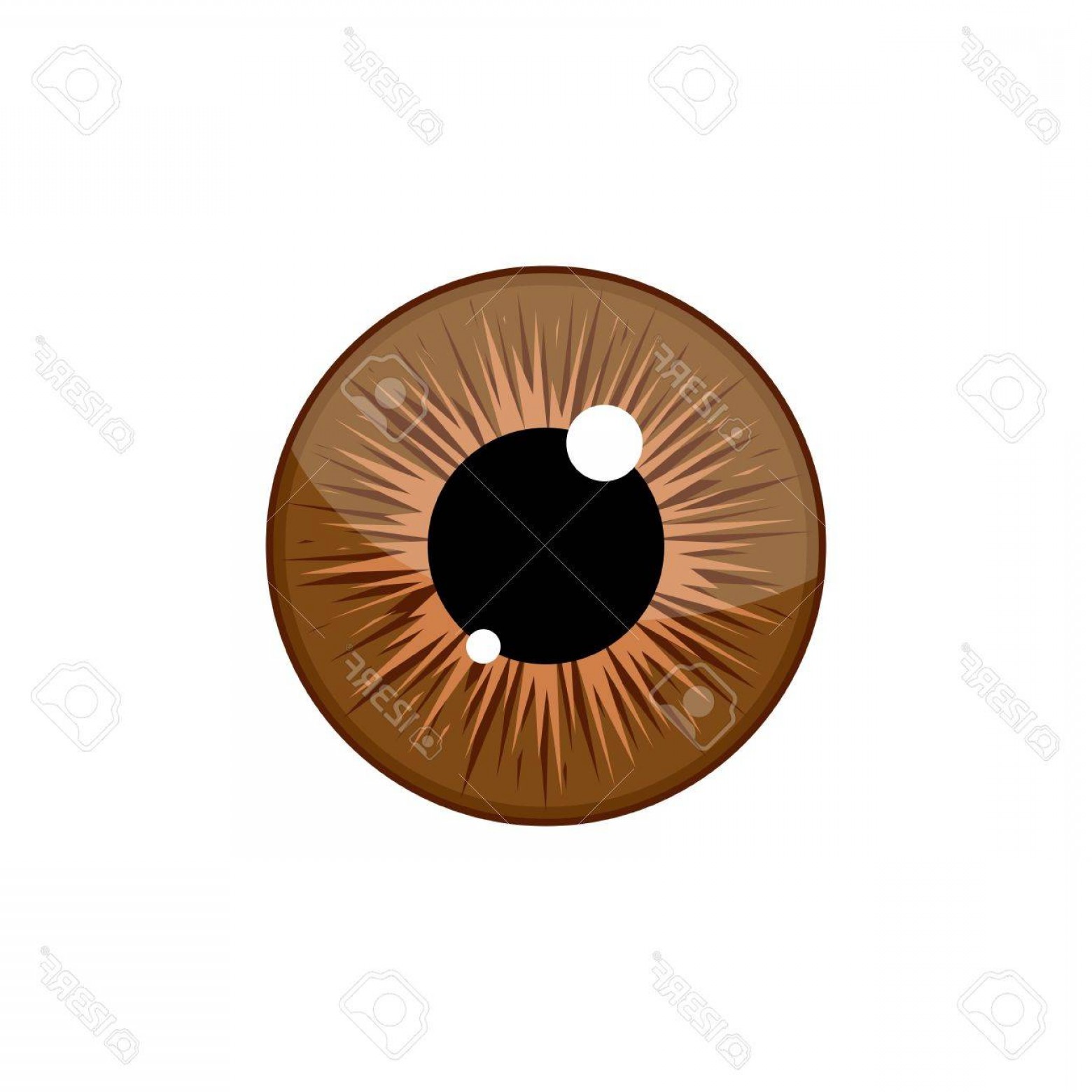 1560x1560 Photostock Illustration Human Brown Eyeball Iris Pupil Isolated