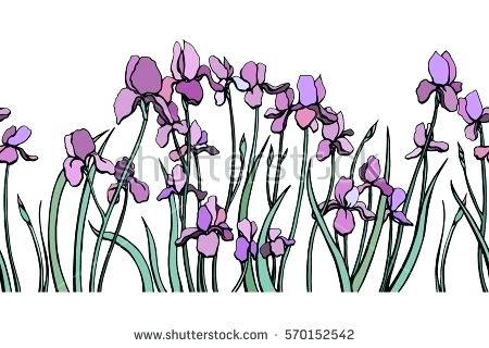 450x320 Vector Seamless Pattern With Hand Drawn Graceful Iris Flowers