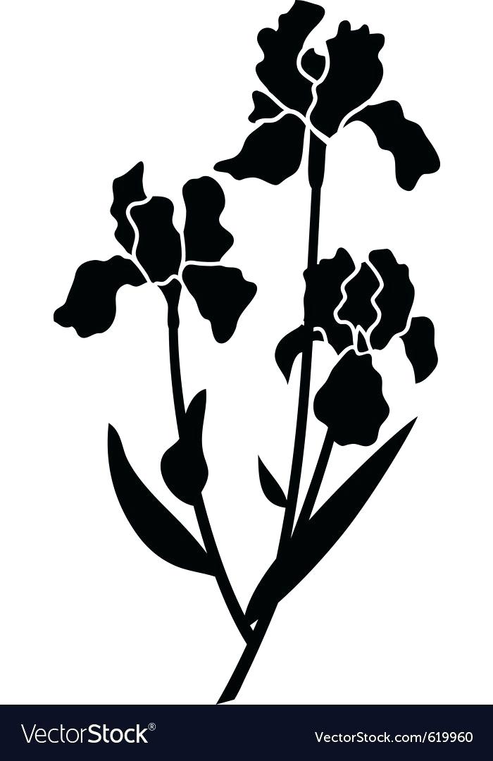 700x1080 Free Vector Clip Art Black And White Flowers Iris