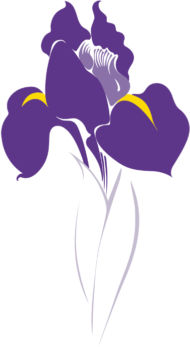 379x691 Download Icon Illustration Development