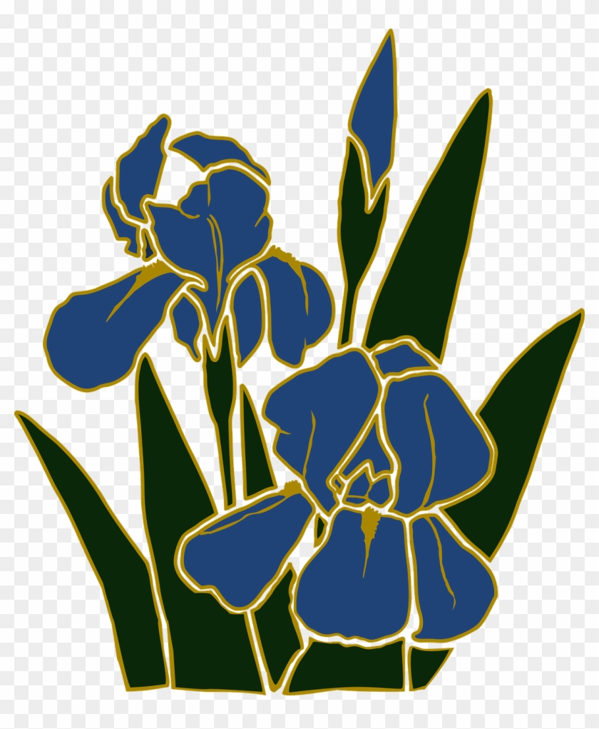 840x1021 Flower Garden Iris Plant Png Image