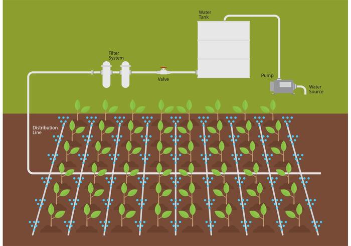 700x490 Irrigation Water System Vector