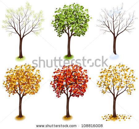 Maple Tree Isometric Trees In Vector 450x417 Maple Tree Isometric Trees In Vector