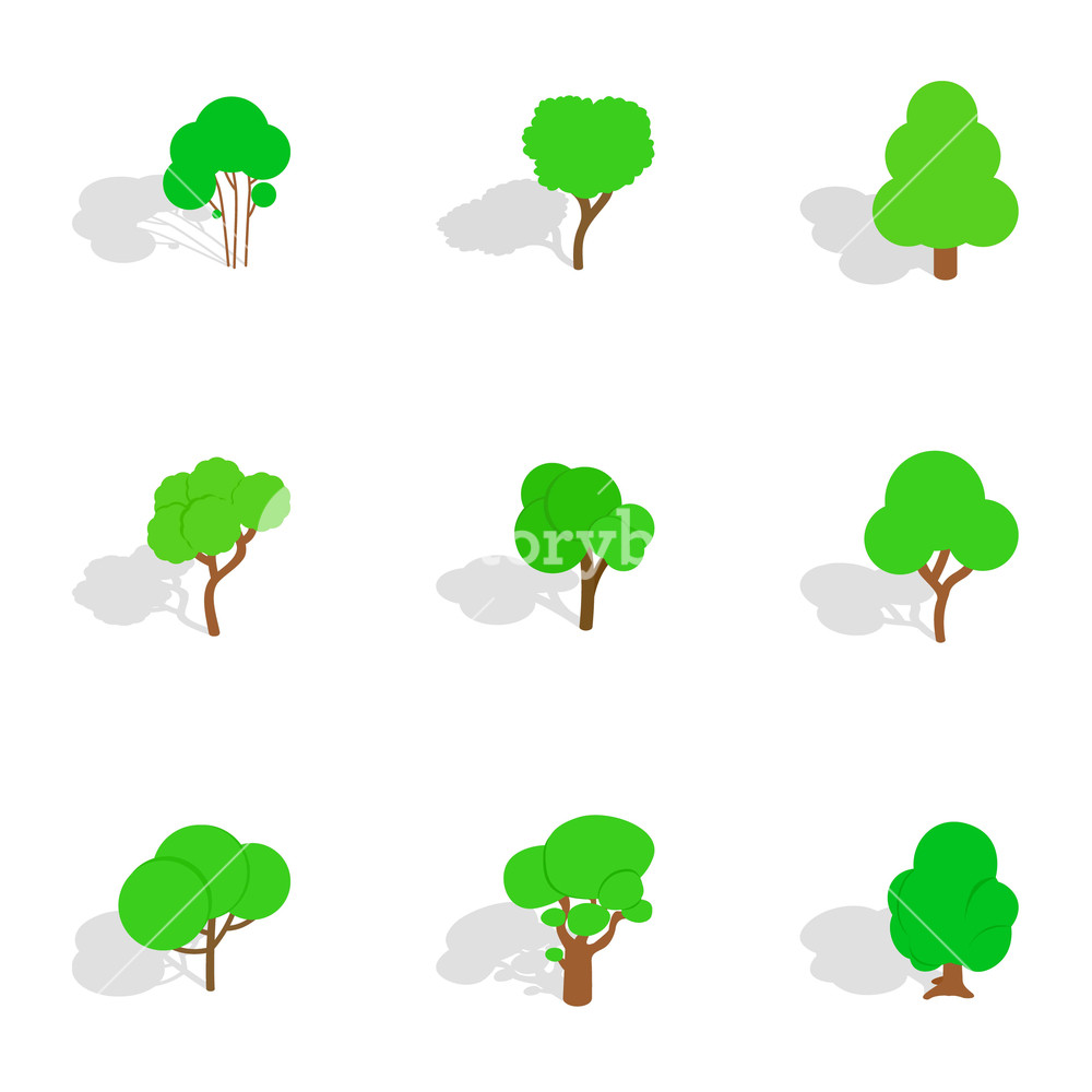 Summer Tree Icons Set Isometric Illustration Of Summer Tree 1000x1000 Summer Tree Icons Set Isometric Illustration Of Summer Tree