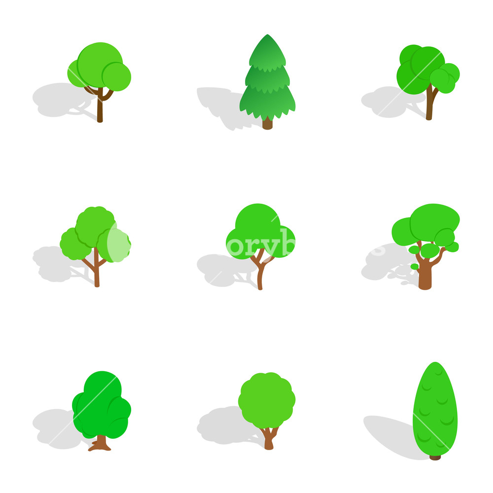 1000x1000 Trees Icons Set Isometric Illustration Of Trees Vector Icons