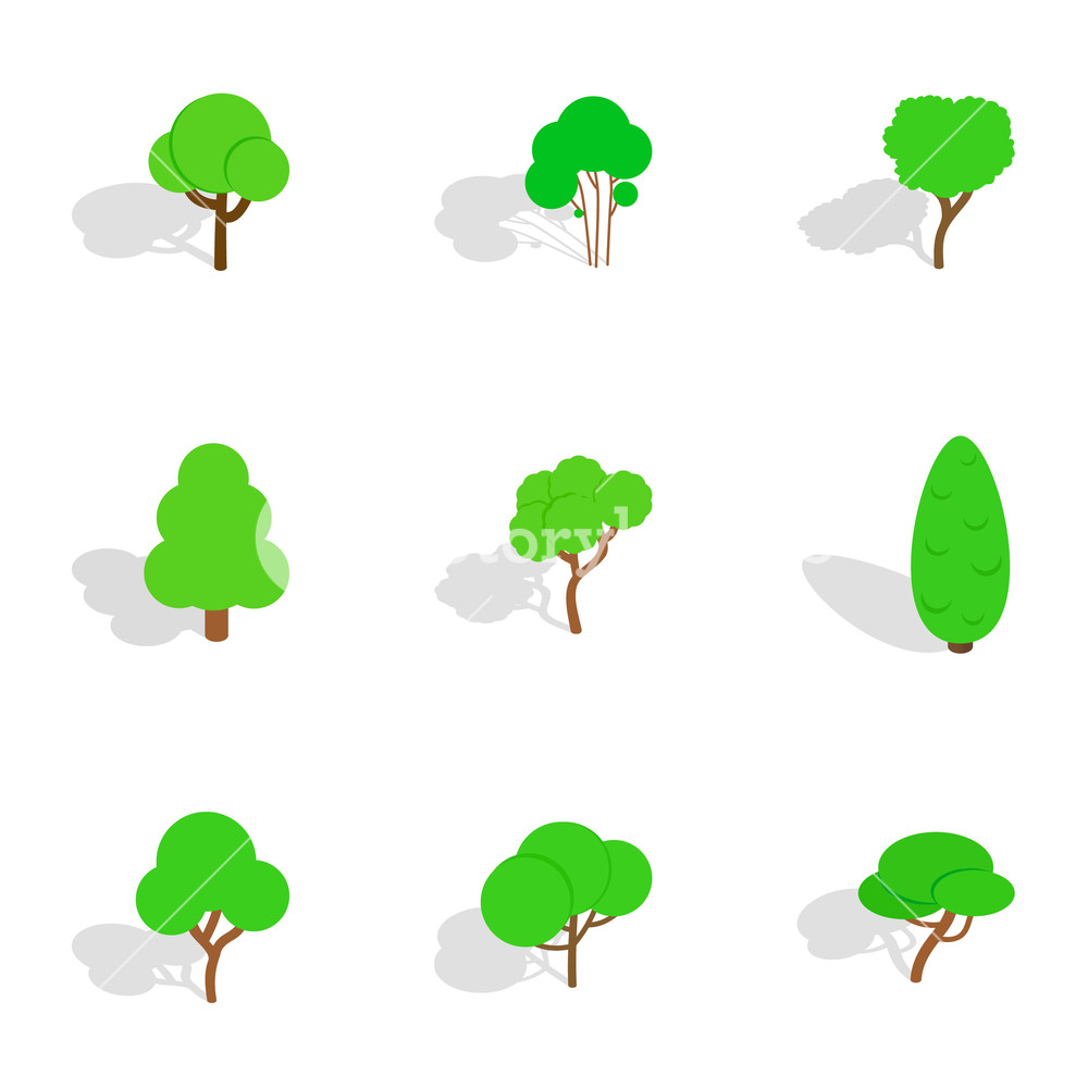 Deciduous Trees Icons Set Isometric Illustration 1000x1000 Deciduous Trees Icons Set Isometric Illustration
