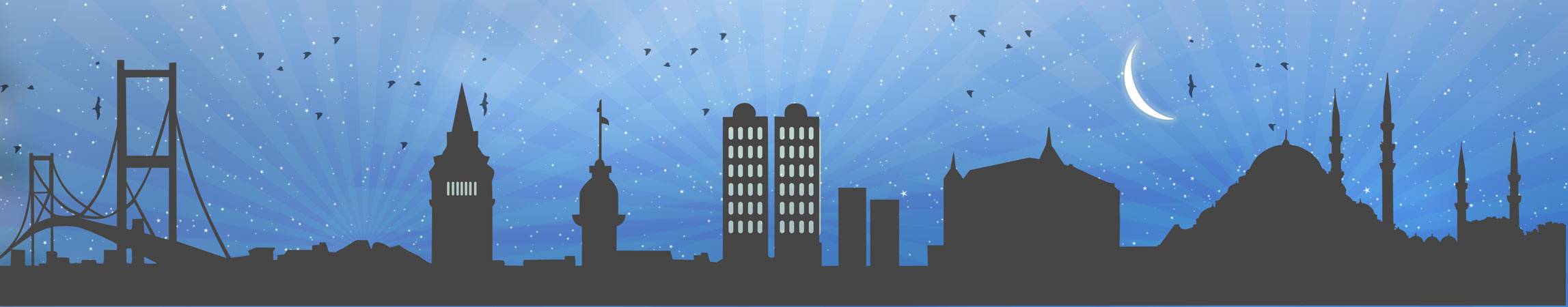 2295x450 Istanbul Vector Siluet Gece Free Download Csh Indir