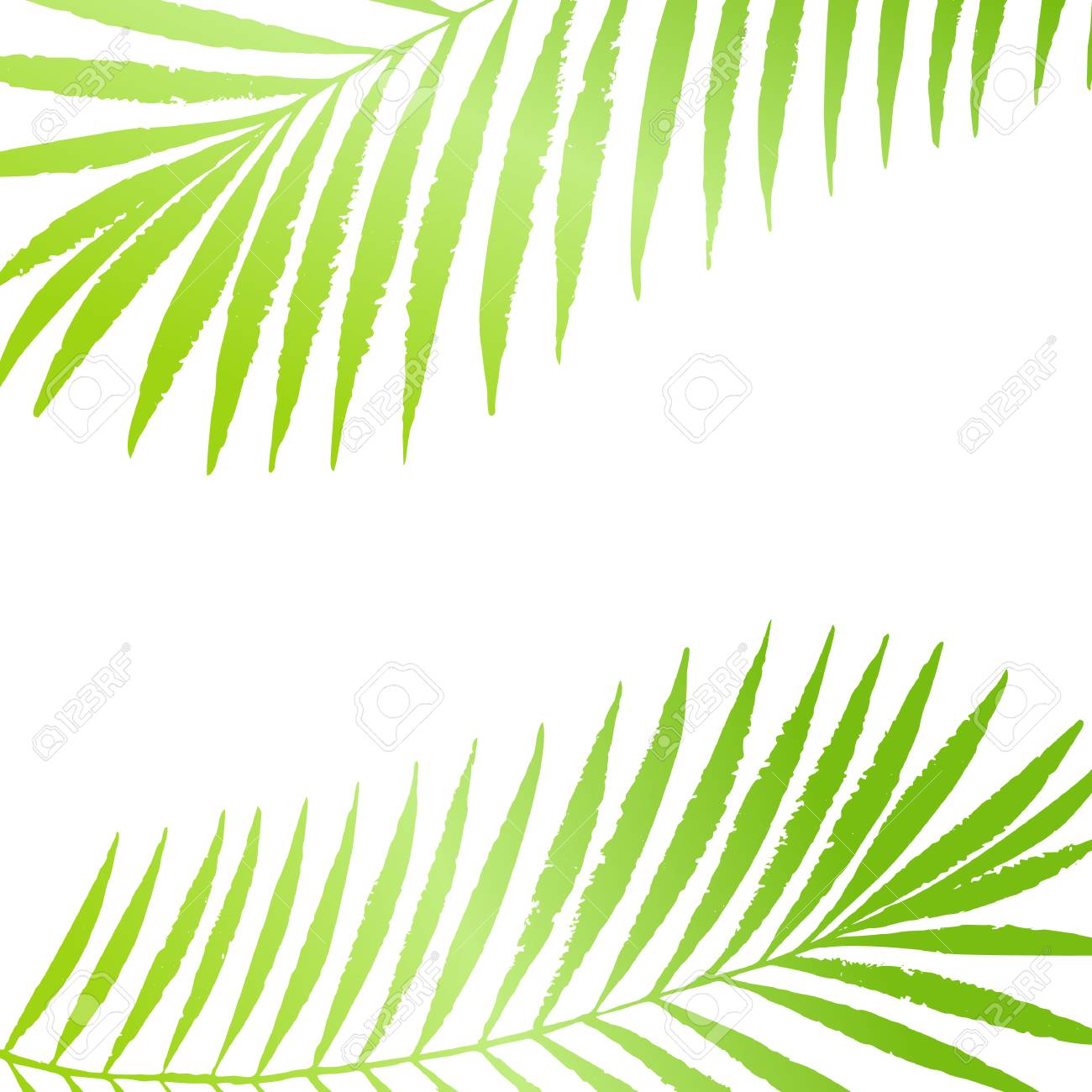 1300x1300 Palm Trees Designs Wall Palm Tree Illustration Istock Palm Tree