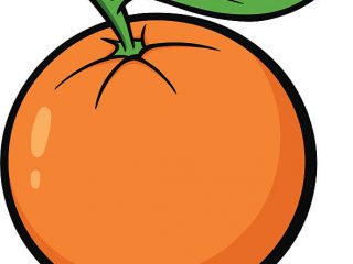 320x240 Top Oranges Clip Art Vector Graphics And Illustrations Istock