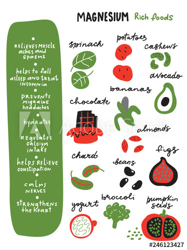 375x500 Magnesiumrich Foods Funny Infographic Poster About Healthy