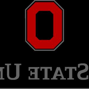 300x300 Logo Sunrise Vector Logo, Yoga Logo Vector, Wenzel Coaching Logo