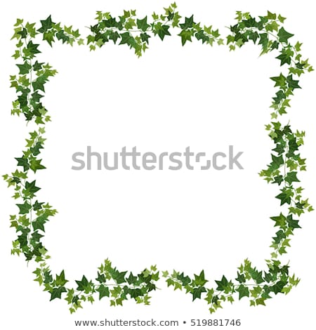 450x470 Halloween Border Ivy Clipart